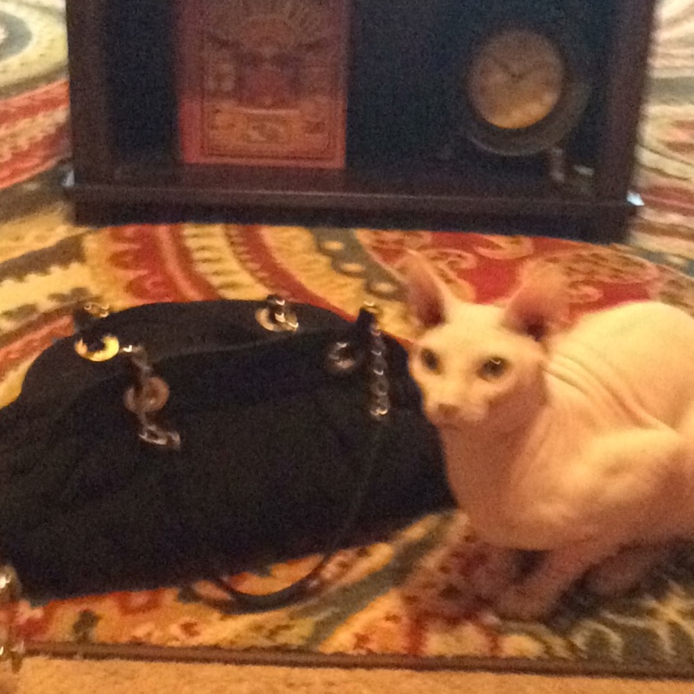 Vera Bradley med solid bag. New